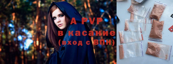 прущие крисы Белокуриха