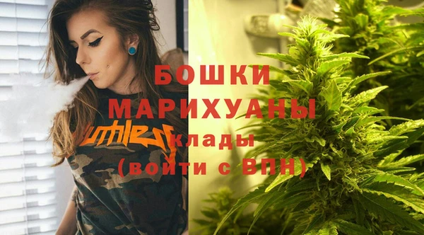 амф Бронницы