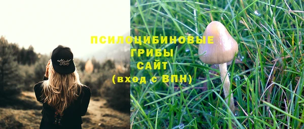 прущие крисы Белокуриха